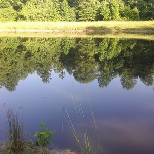 Meet your Posher, Labena